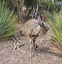 013-img_5048