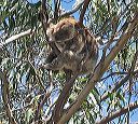 027-img_5139