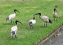 068-img_5709