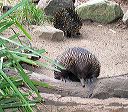 072-img_5788