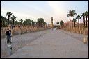 43-luxor_avenue_sphinxes