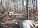 04_hearnville_cemetery